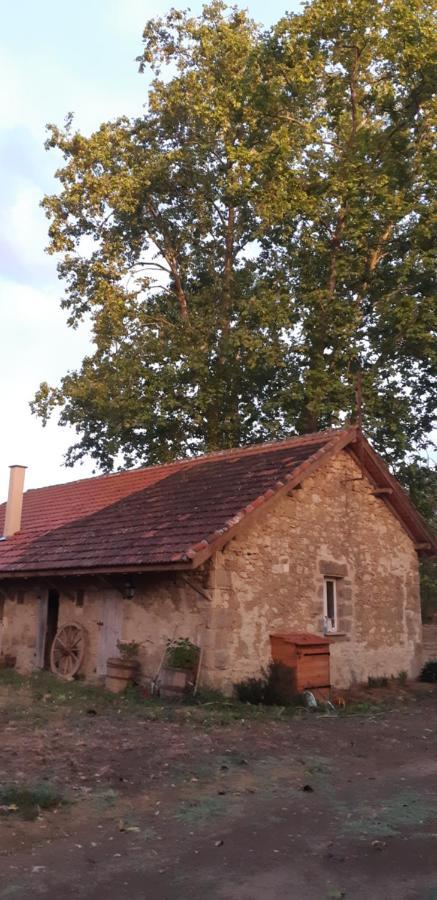 Le gîte de Gracio Vic-Fezensac Extérieur photo
